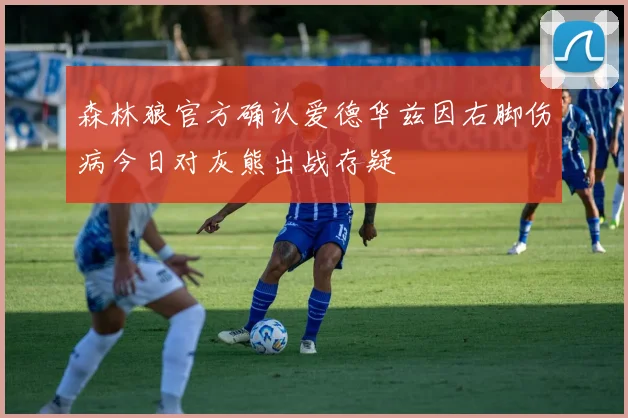 森林狼官方确认爱德华兹因右脚伤病今日对灰熊出战存疑