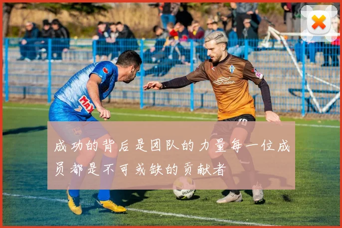 成功的背后是团队的力量每一位成员都是不可或缺的贡献者