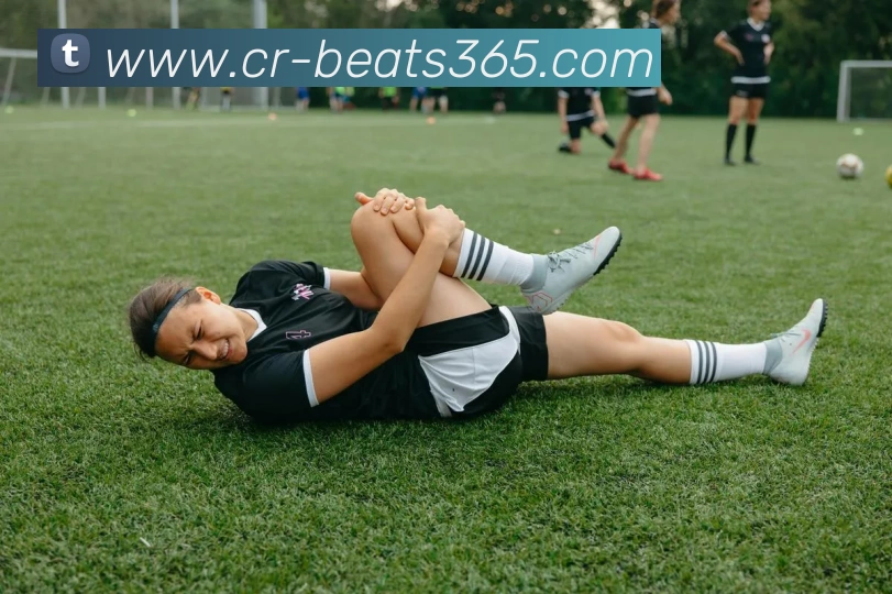 App Interface Preview